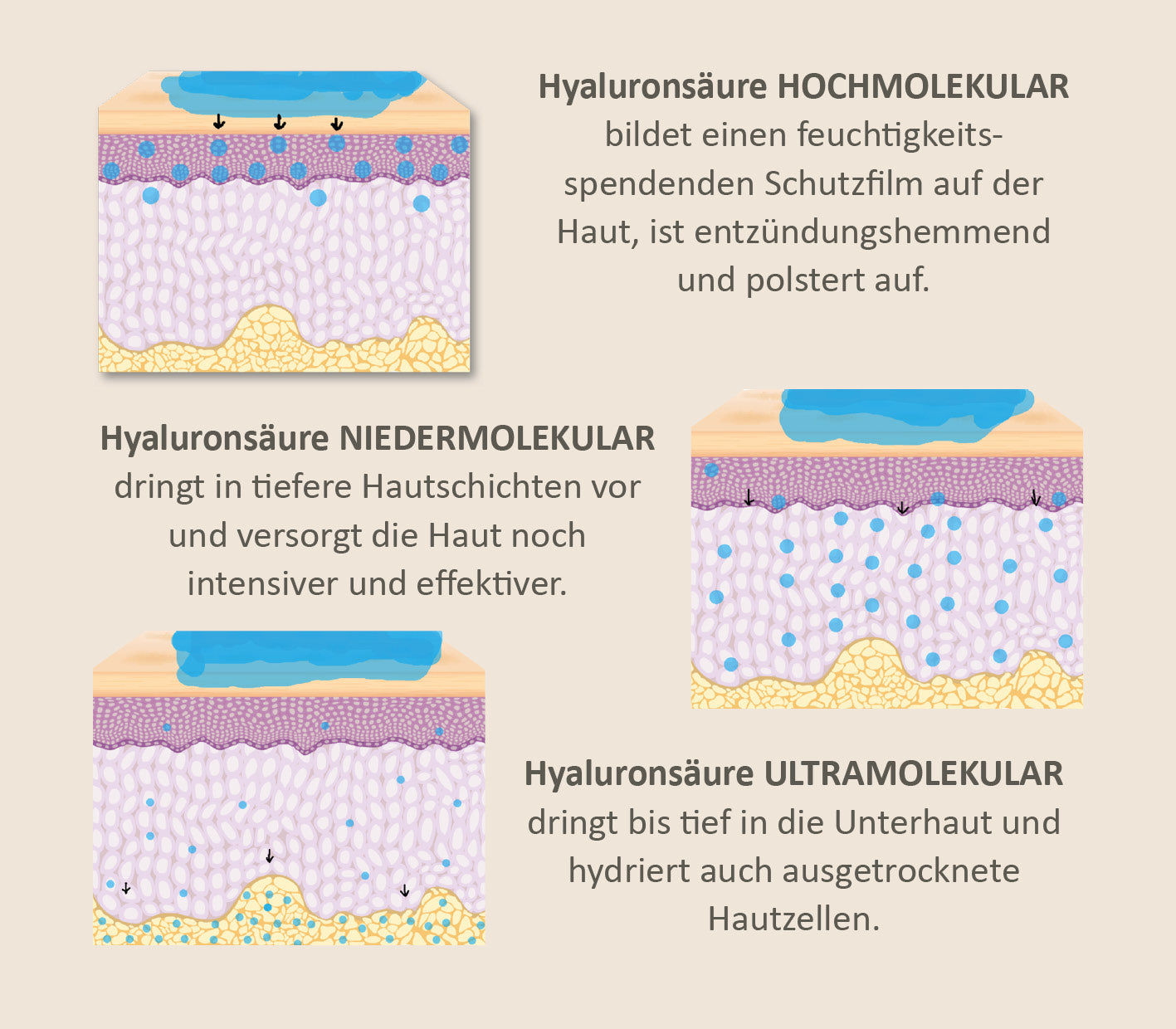 Hyaluronsäure-Pulver
