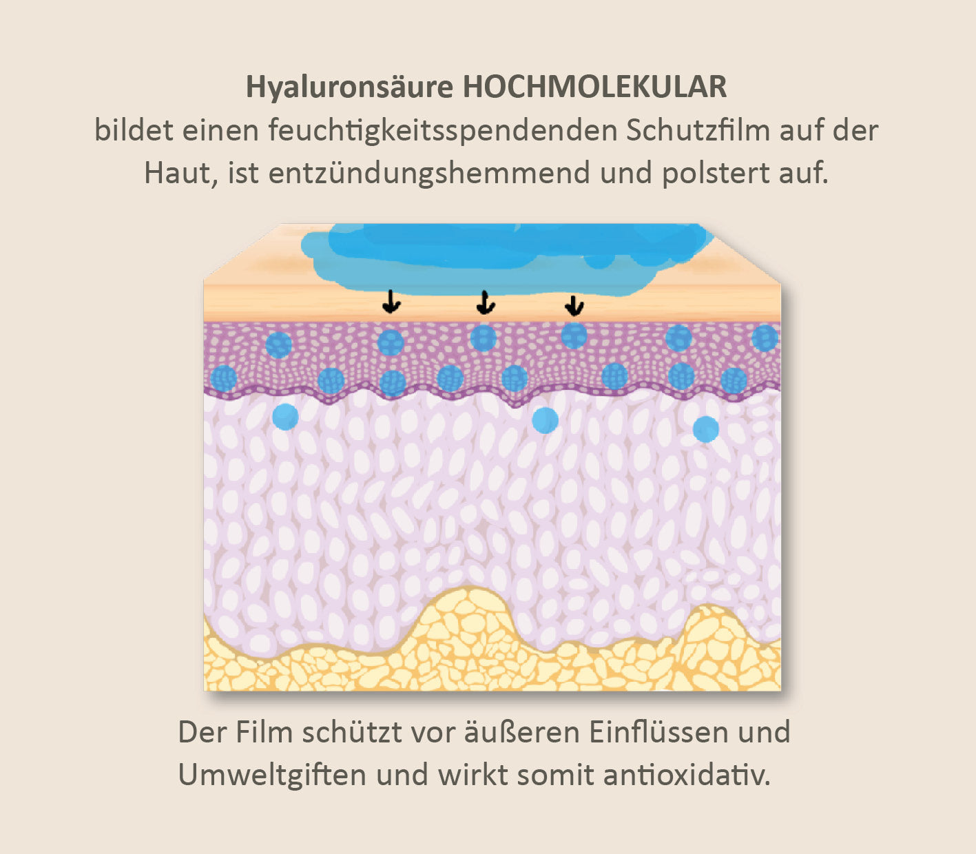Hyaluronsäure-Pulver-Hochmolekular