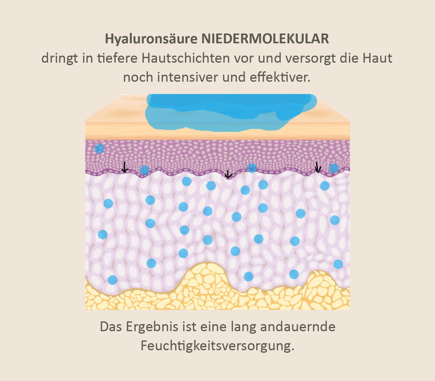 hyaluronsäure-pulver-niedermolekular