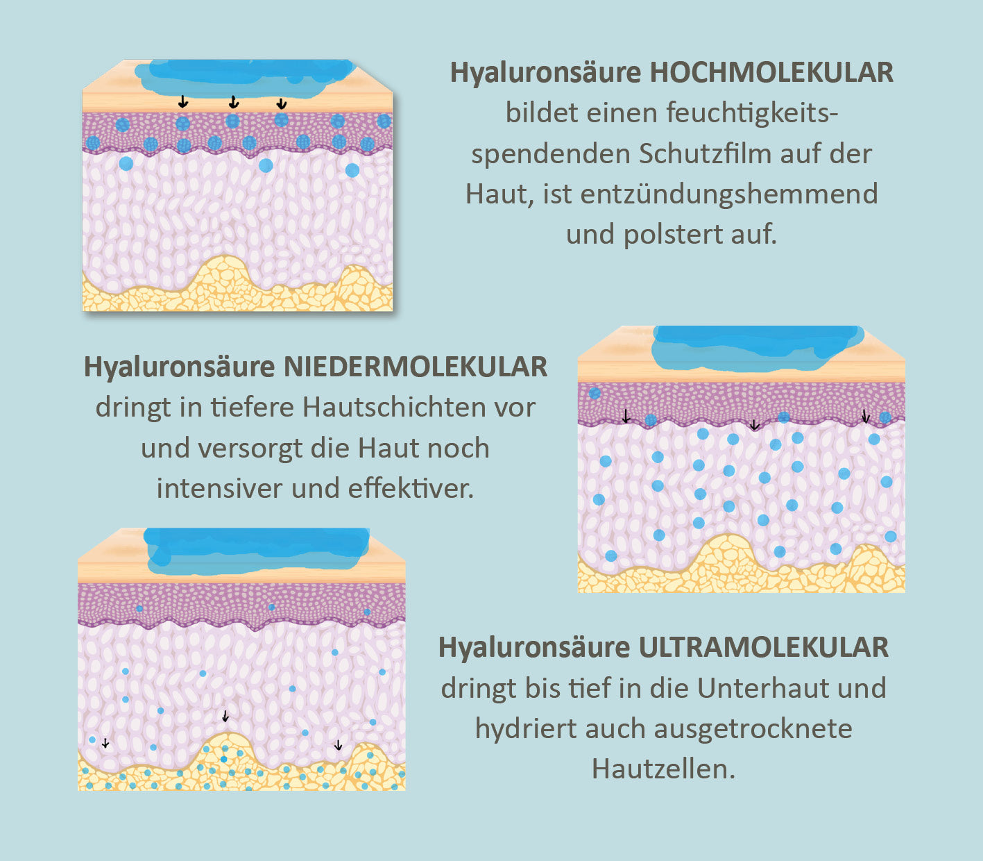 Hyaluronsäure Serum