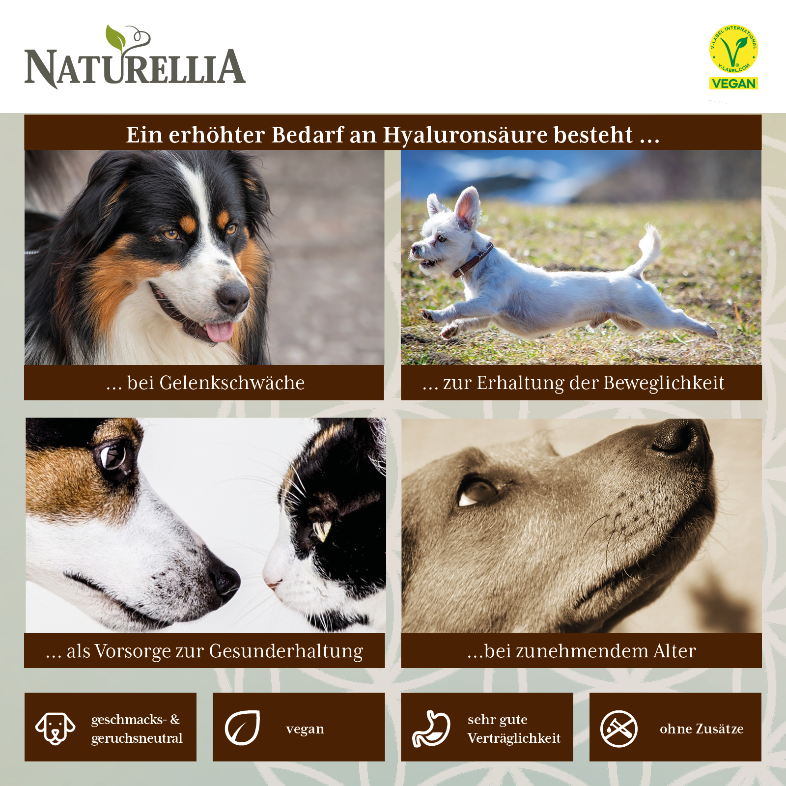 Hyaluronsäure Pulver zum einnehmen für Tiere