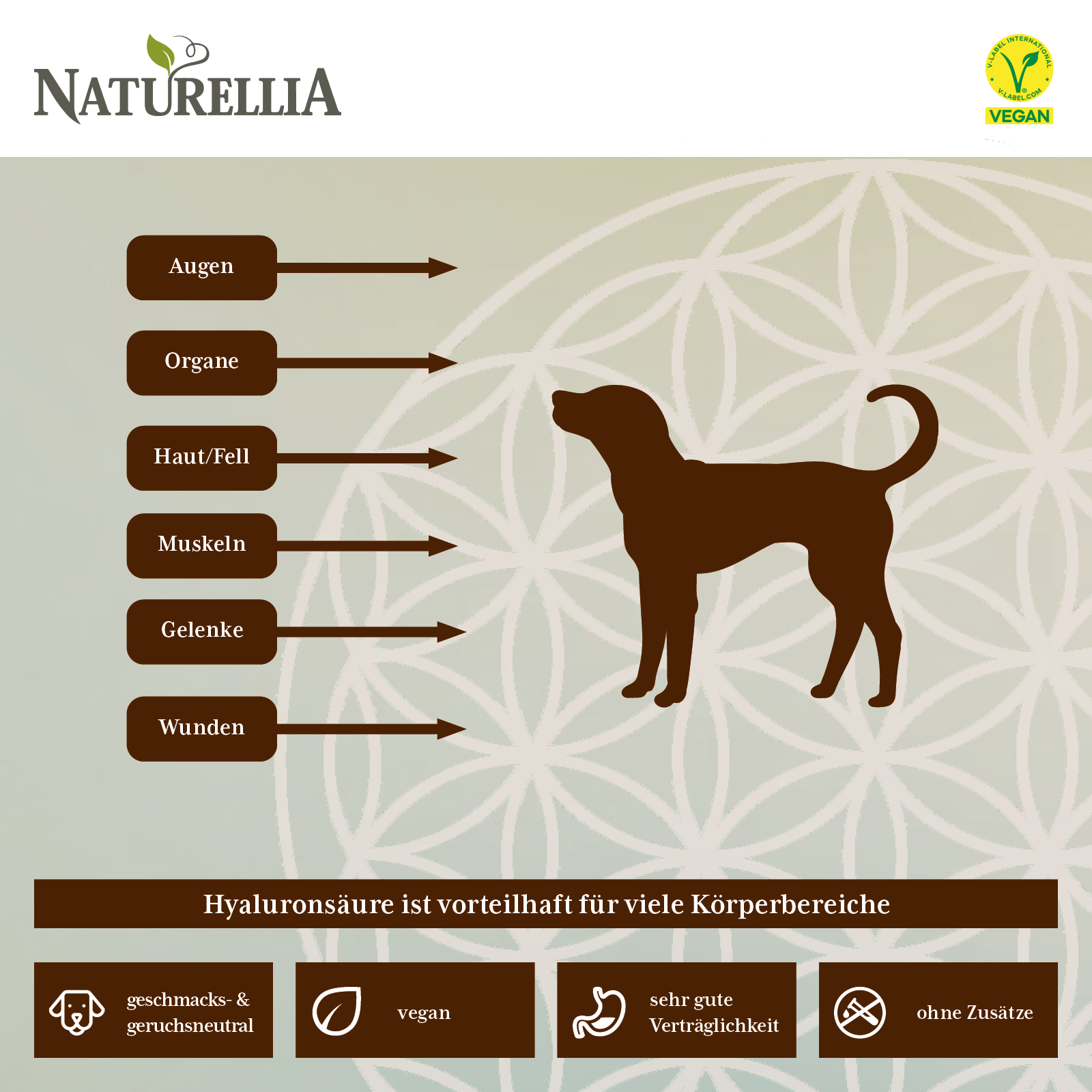 Hyaluronsäure Pulver zum einnehmen für Tiere