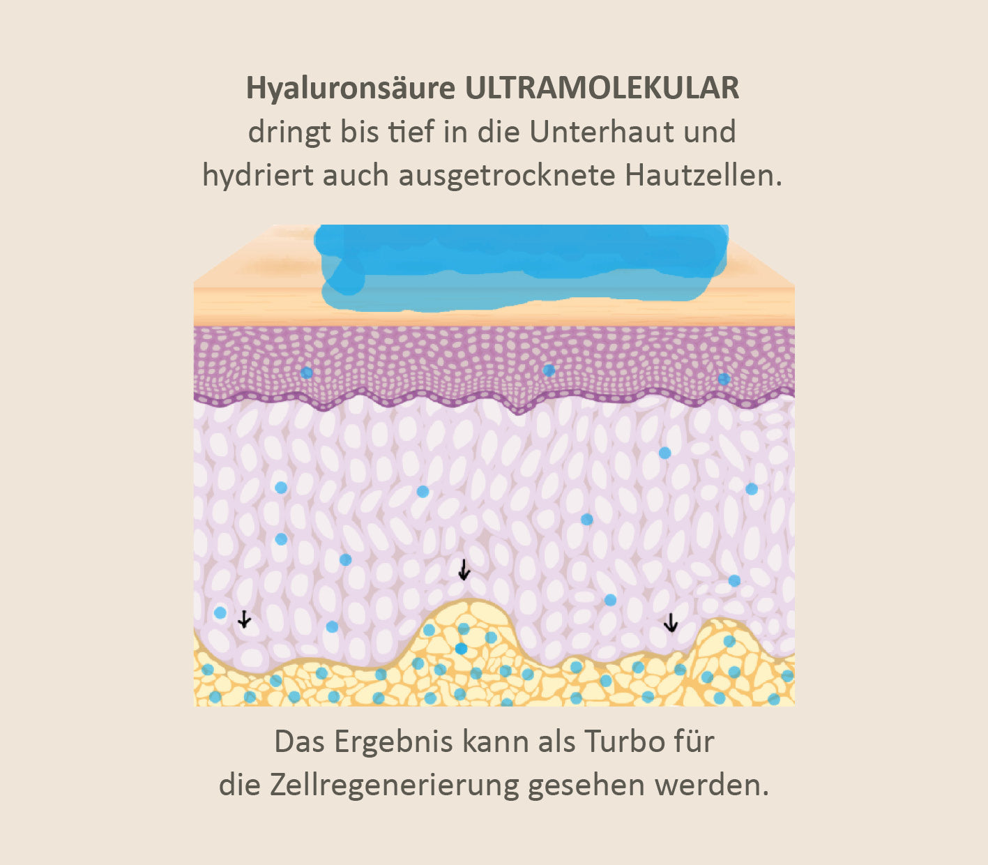 hyaluronsäure-pulver-niedermolekular